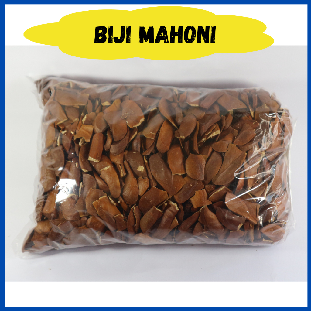 

Biji Buah Mahoni Kering