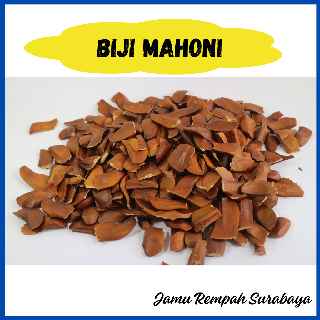 

Biji Buah Mahoni Kering