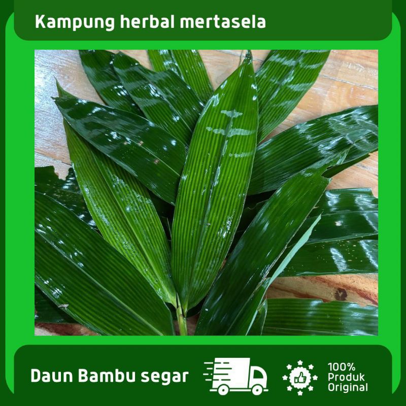 

Daun bambu Segar