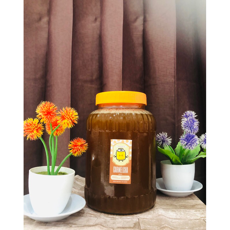 

3 Liter Kombucha Original