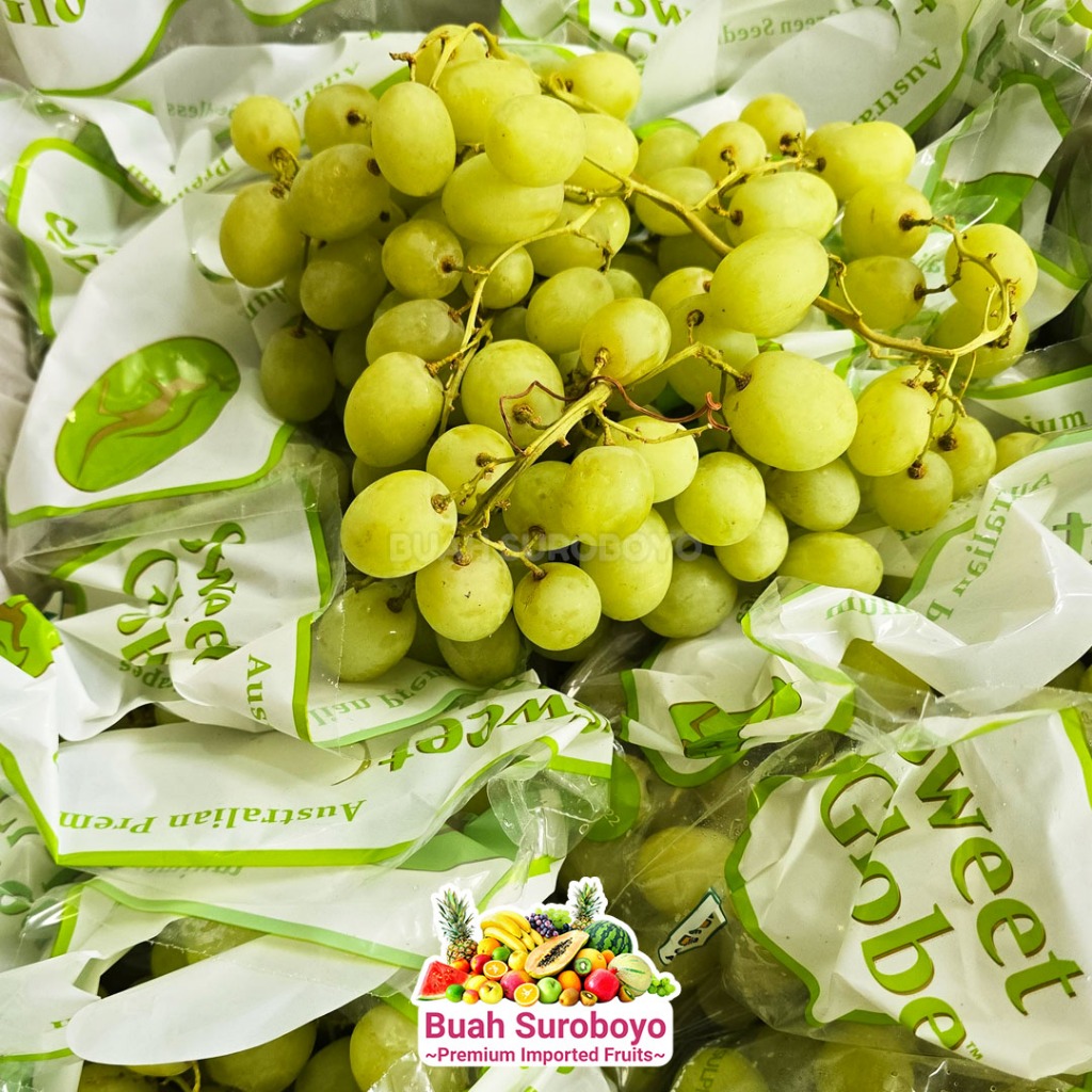 

Anggur Hijau Australia (Tanpa Biji)