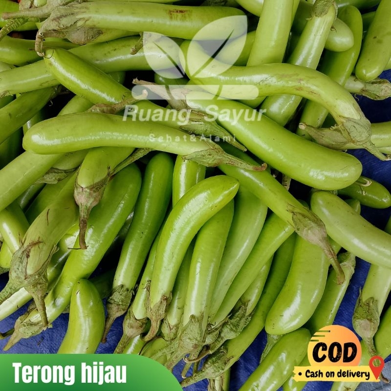 

Terong Hijau , Terong Hijau 500 - 1 Kg