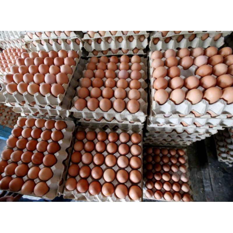 

satu papan/trey telur ayam segar dan berkualitas