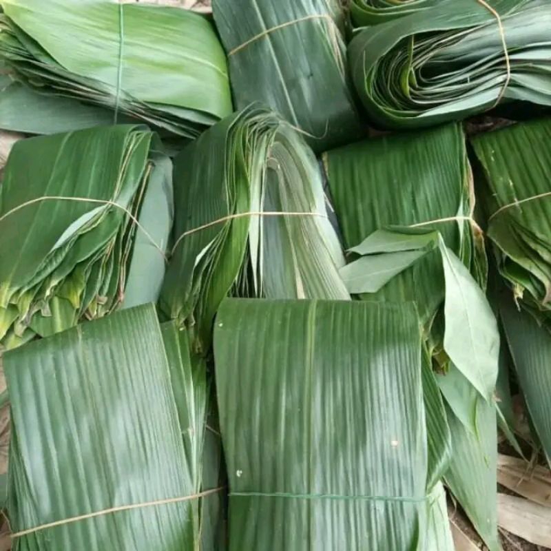 

50 lembar daun bambu fresh lebar 6~10 cm untuk bacang bakcang kicang Termurah terlaris
