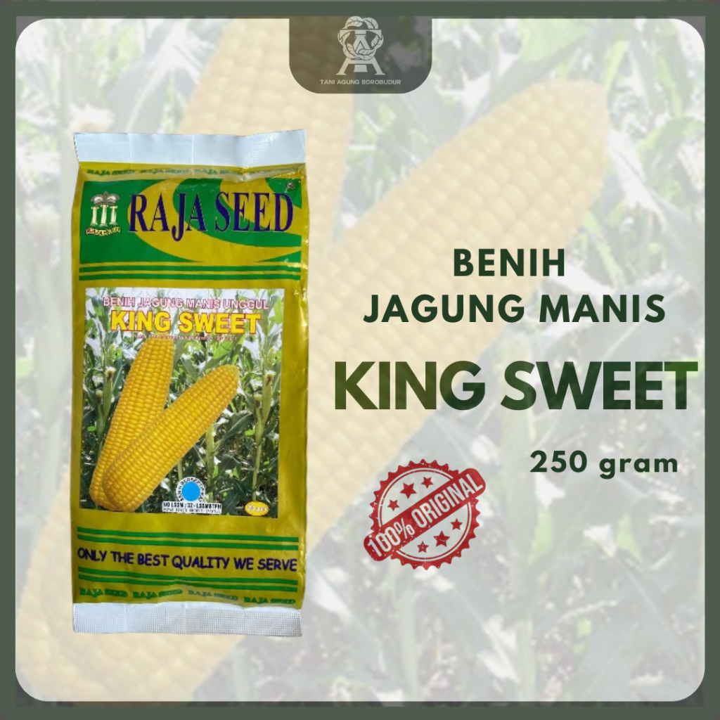 

KING SWEET Benih Jagung Manis