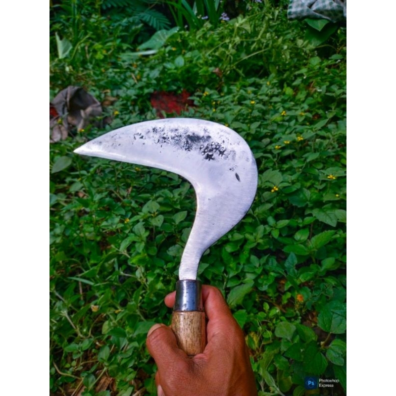 

alatkebunbajaqliaritrumput
