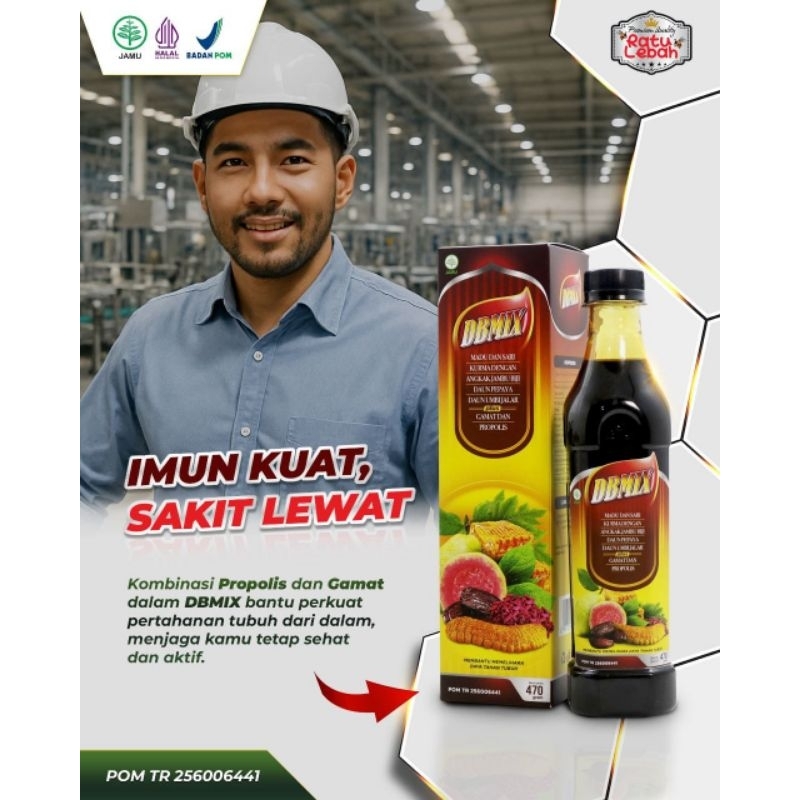 

SARI KURMA DB MIX 470gr