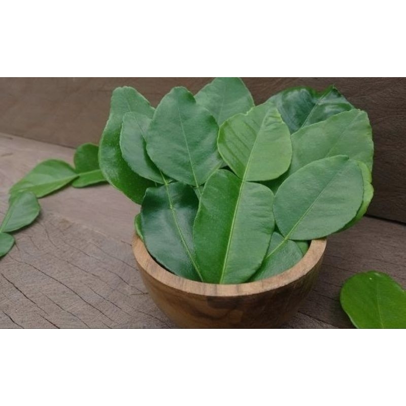 

daun jeruk purut harum segar/herbal/isi 50pcs