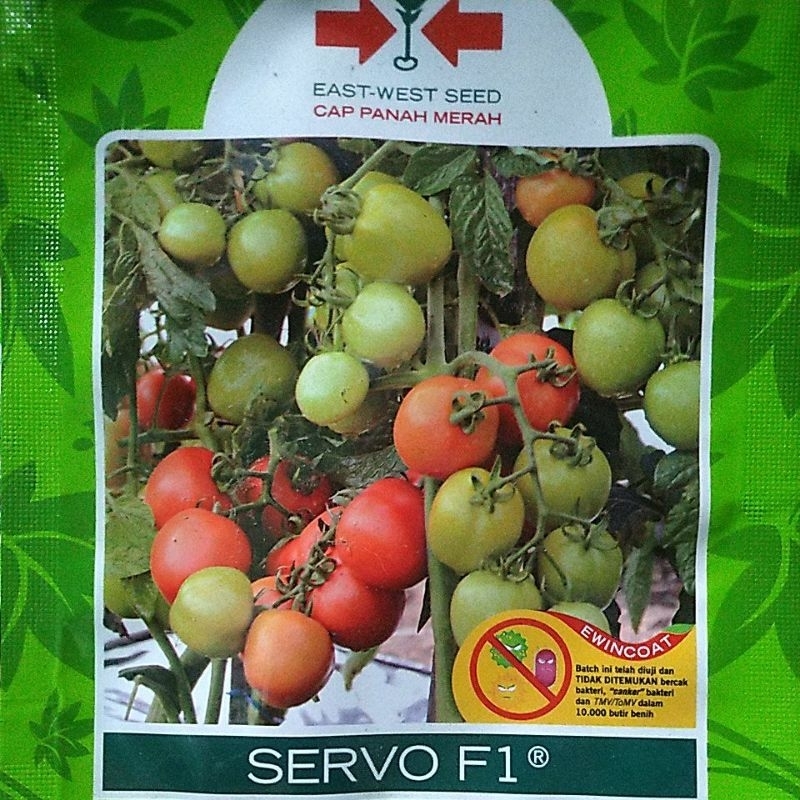 Bibit Tomat Hijau Servo F1 Cap Panah Merah