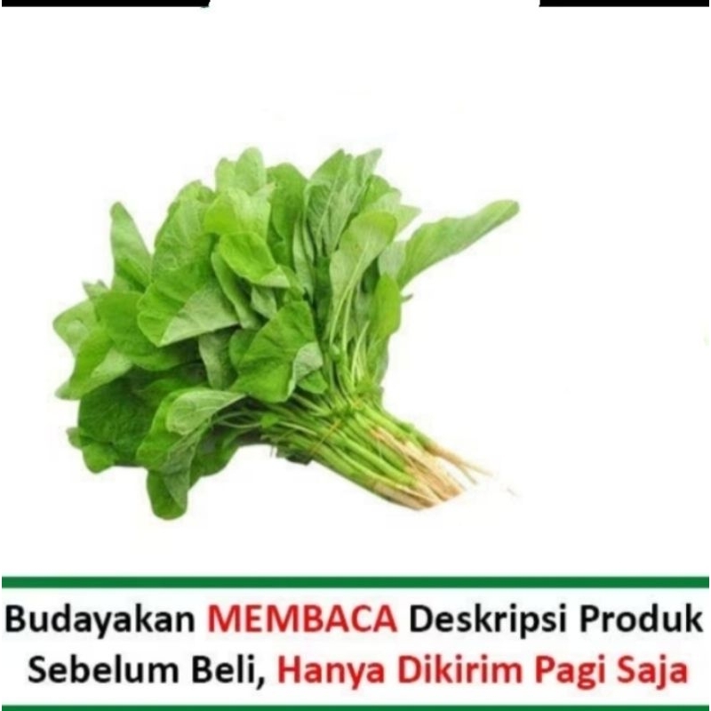 

Bayam Hijau Segar 1 Ikat Sayur Segar Lampung