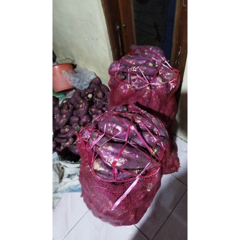 

ubi jalar merah