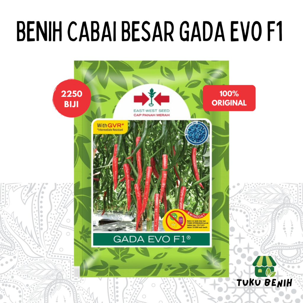 Benih Cabai Besar Gada Evo F1 2250 Biji - Cap Panah Merah