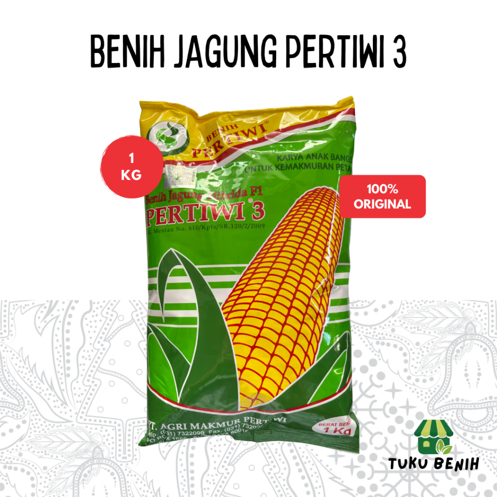 Benih Jagung Hibrida Pertiwi 3 1 Kg- Benih Pertiwi