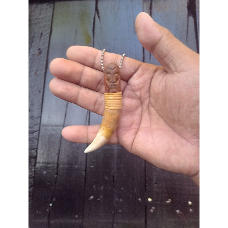 Kalung Taring Buaya jumbo