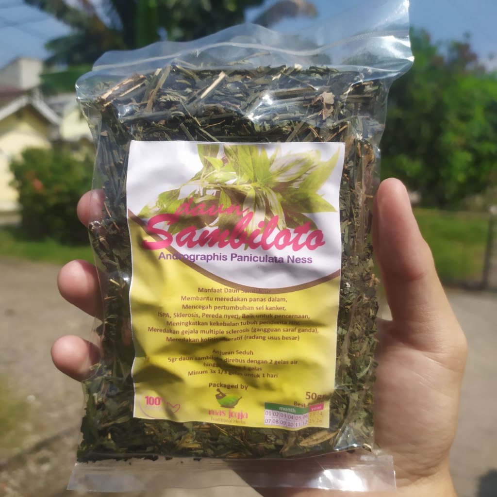 

Daun Sambiloto Kering Organik 50 gram Premium/Daun Sambiloto Organik Asli Alami