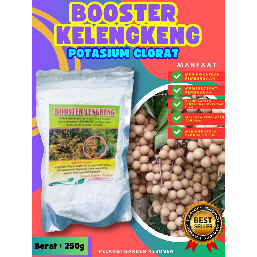 UNGGULAN  Booster Kelengkeng Stek, Booster Kelengkeng Terbaik