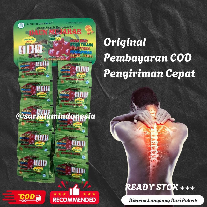 

Kapsul Daun Mjr Original 100%