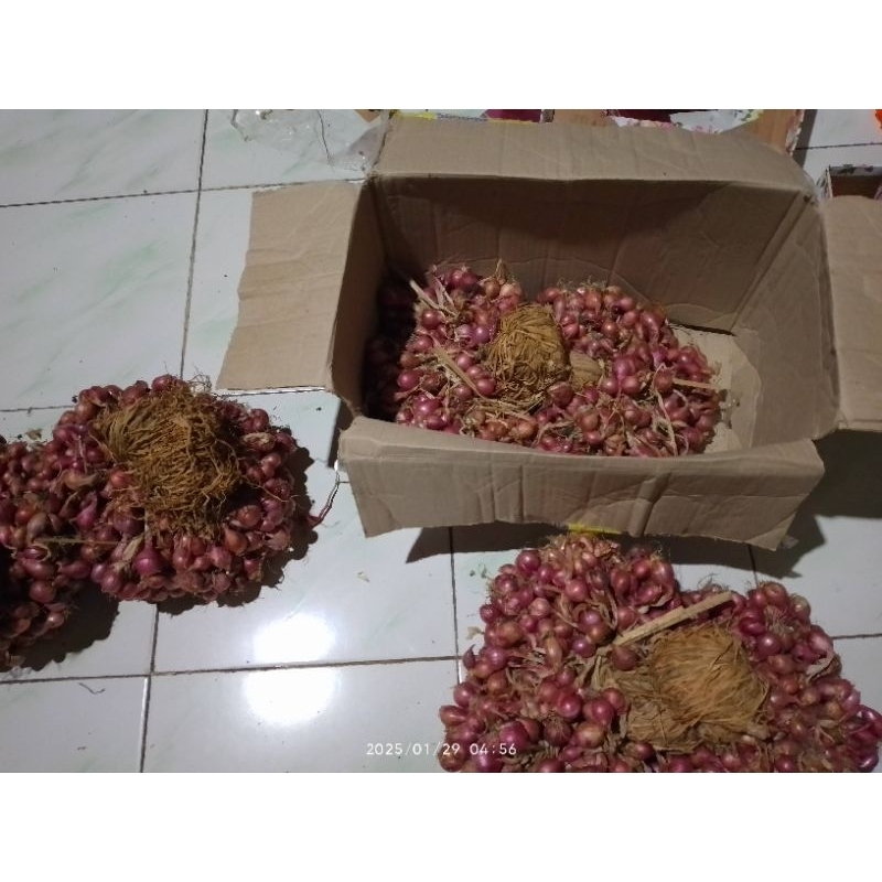 

Bawang merah