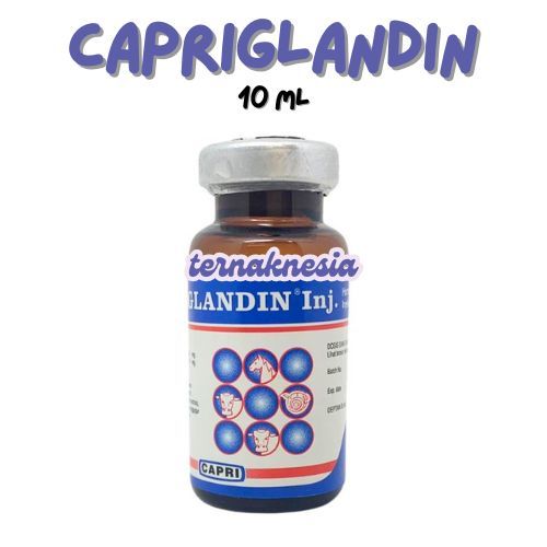 CAPRIGLANDIN INJ 10 ml - Obat Birahi Hewan, Hormon Sinkronisasi Estrus Sapi KambingDombaBabi Kuciing