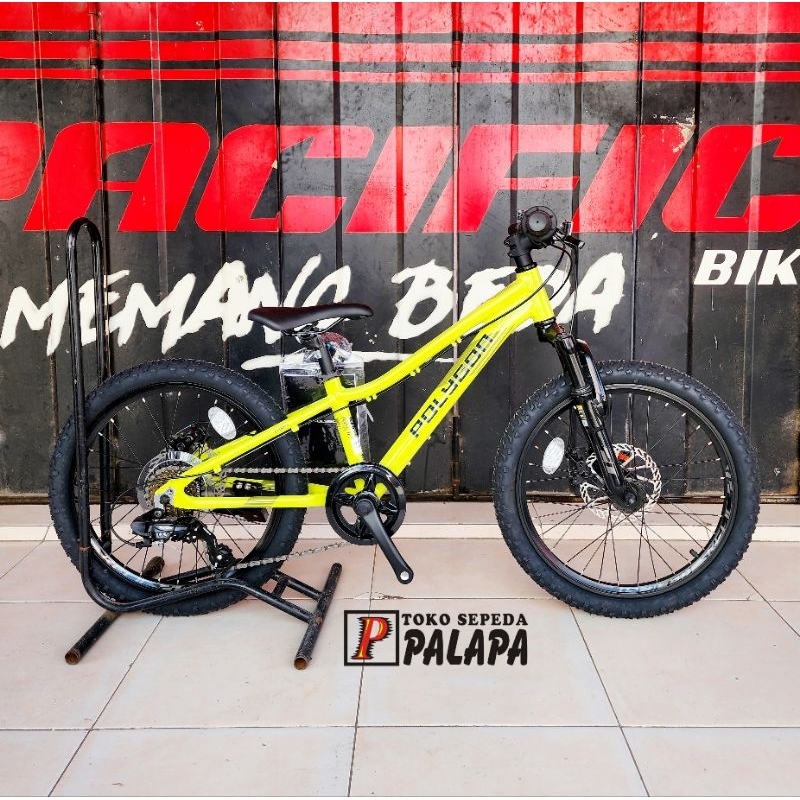 SEPEDA ANAK BMX 20 POLYGON RELIC MTB