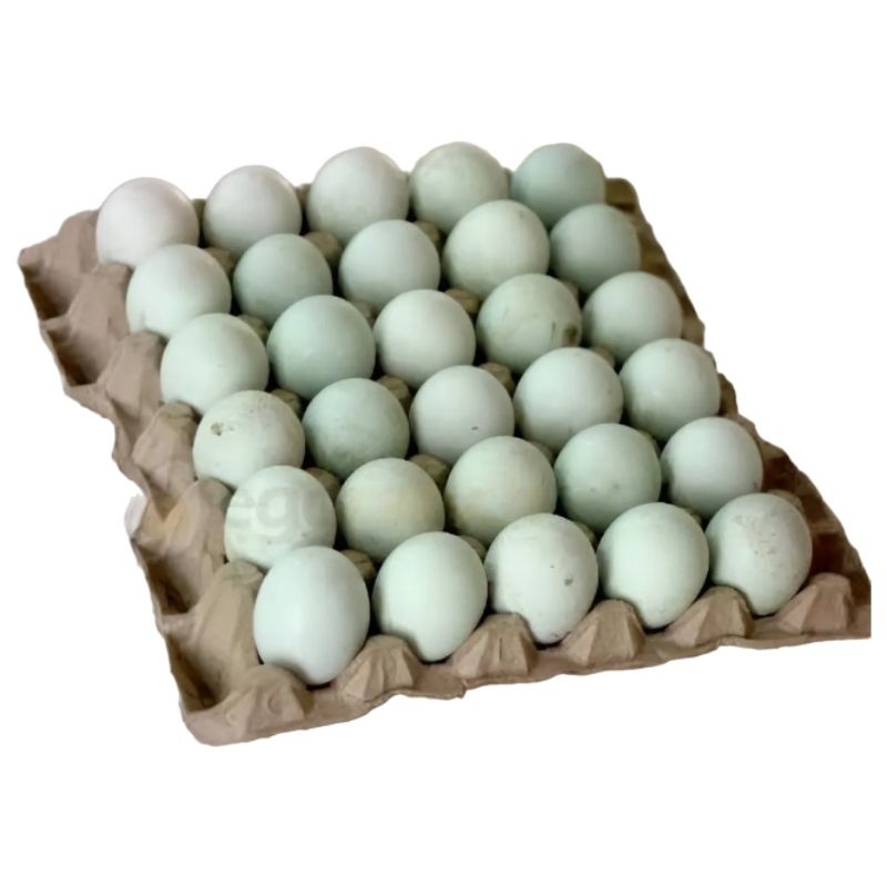 

Telur Bebek Mentah 10 Butir