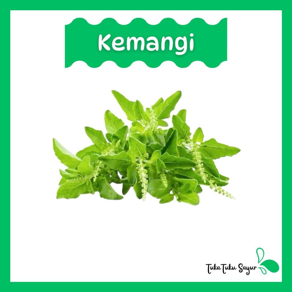 

DAUN KEMANGI SEGAR (per ikat) - TukaTuku Sayur