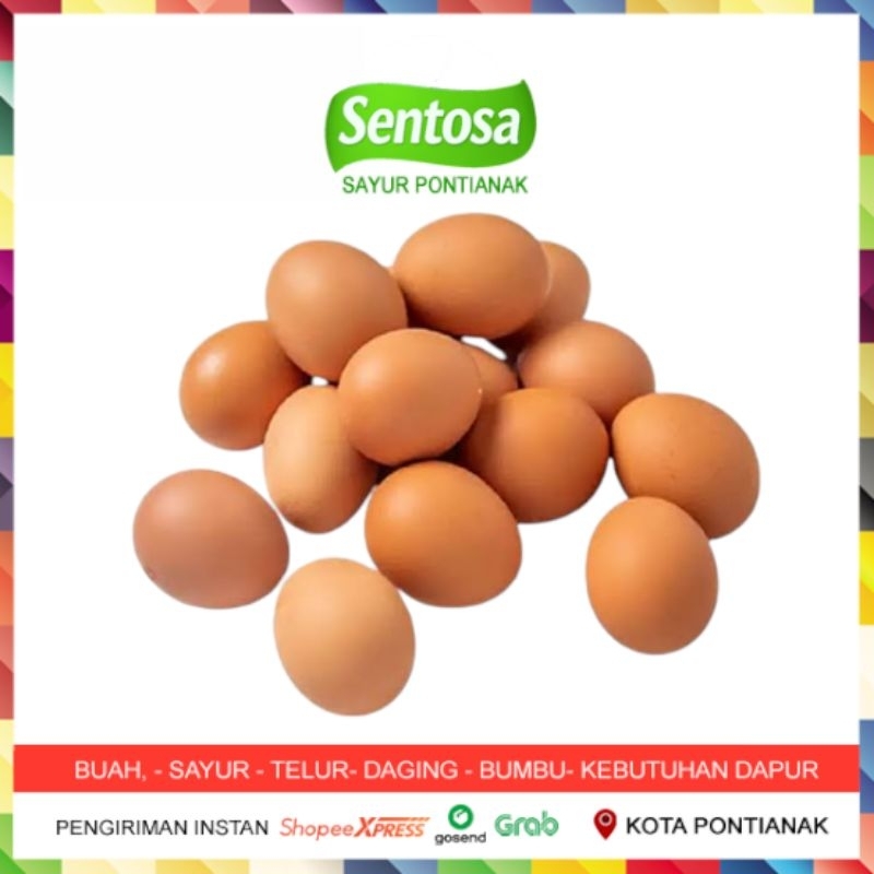 

Telur Ayam Negeri Per Butir Sentosa Sayur Pontianak
