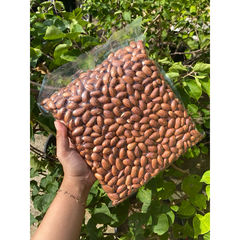 

1 KG KACANG ALMOND PANGGANG SUDAH MATANG