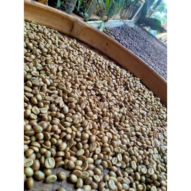 

Biji Kopi Greenbean Oce Robusta Single Origin G. Kelir Kab. Semarang