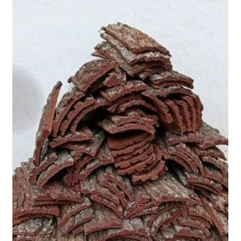 media tanam anggrek/dari kulit kayu mahoni isi 1pcs