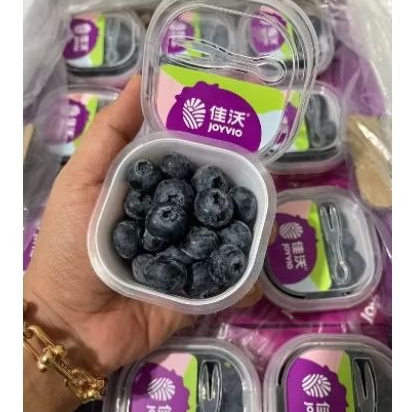 

Blueberry Fresh