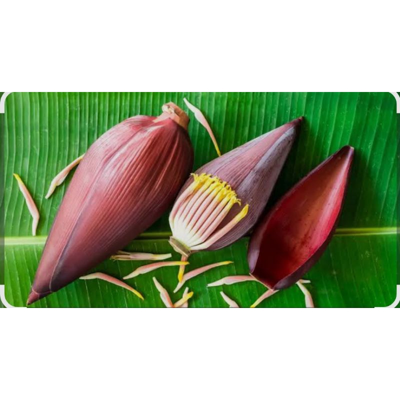 

jantung pisang