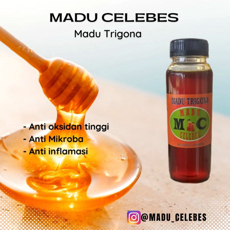 

Madu Trigona
