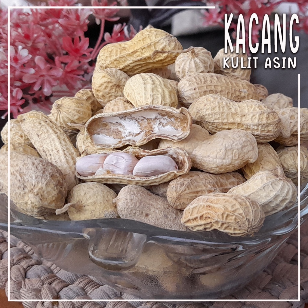 

Kacang Kulit Sangrai 1kg Kacang Kulit Sangrai Asin Kacang Pilihan