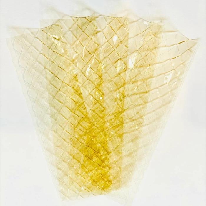 

JKL Gelatin Gelita Sheet 5 Lembar / Gelatine Gelita Sheets