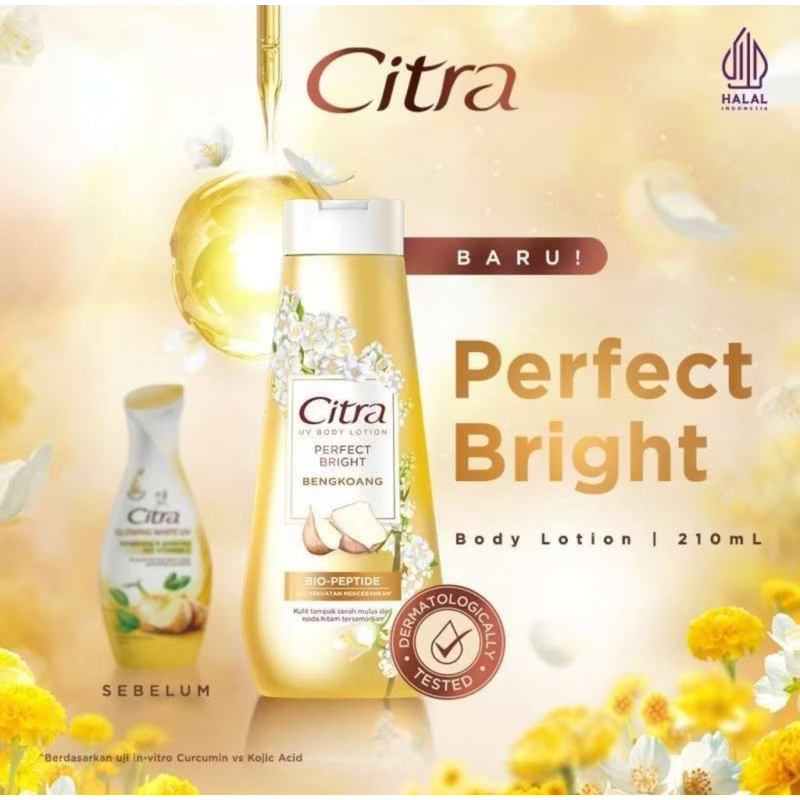Citra handbody bengkoang 210ml