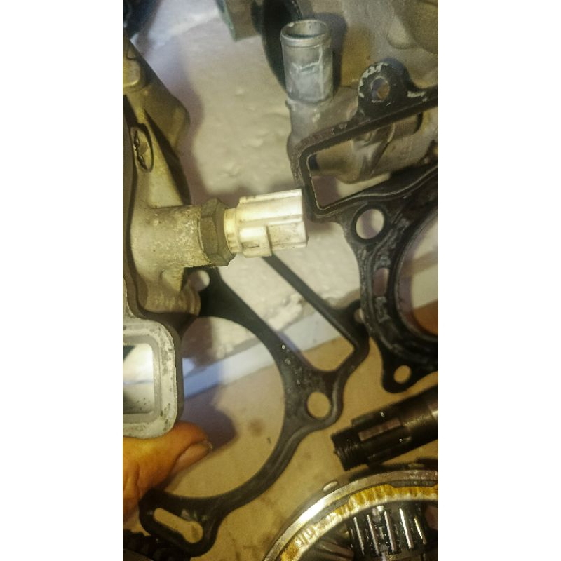 sensor ect ory coptan