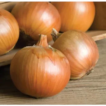 

Bawang Bombay Fresh - Onion