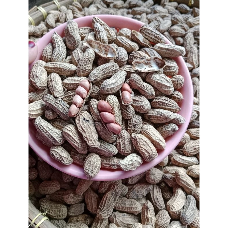 

KACANG KULIT SANGRAI BENDO 1 KILOGRAM