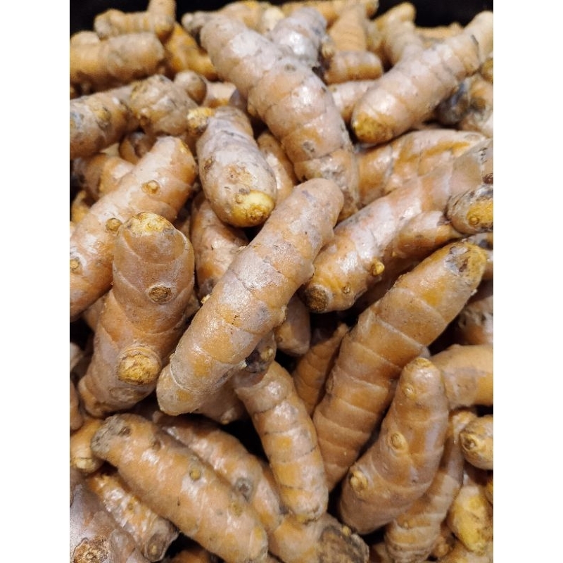 

kunyit 1 kg