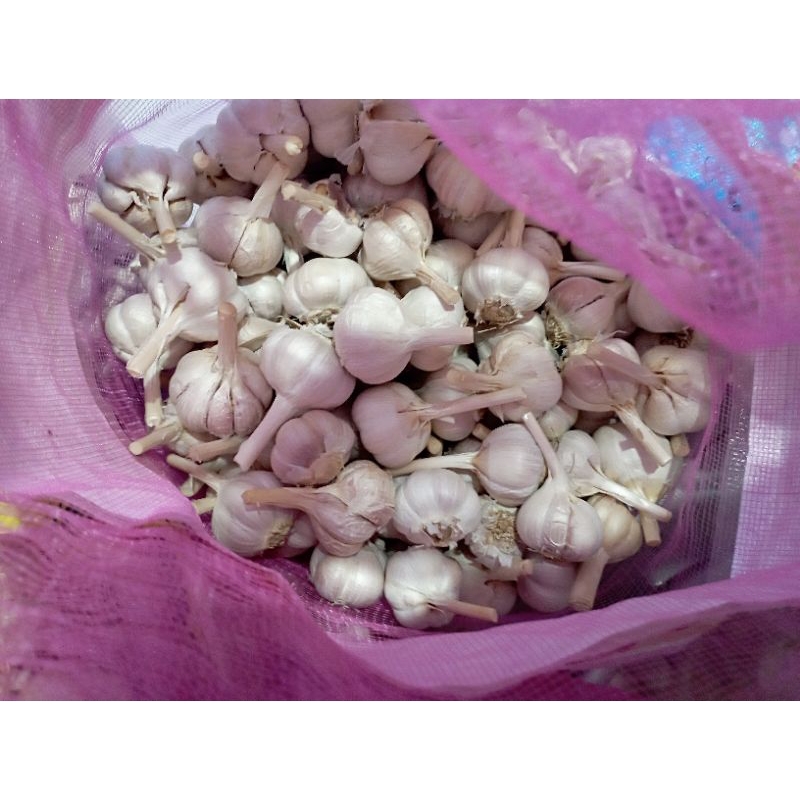 

BAWANG PUTIH KATING 1KG TERMURAH KUALITAS GRADE A