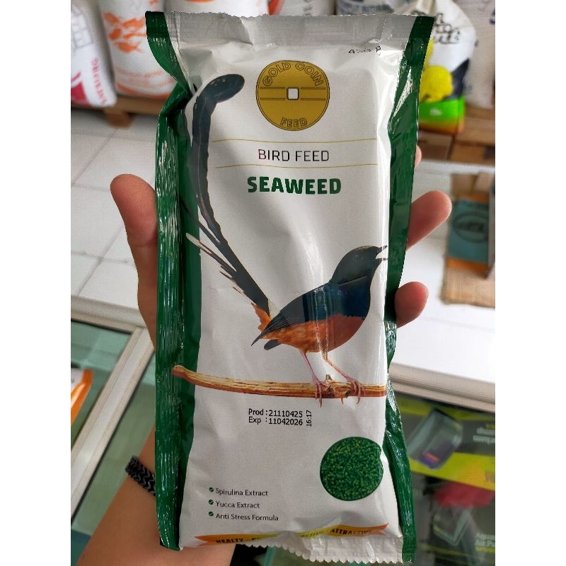 Gold coin hijau seaweed