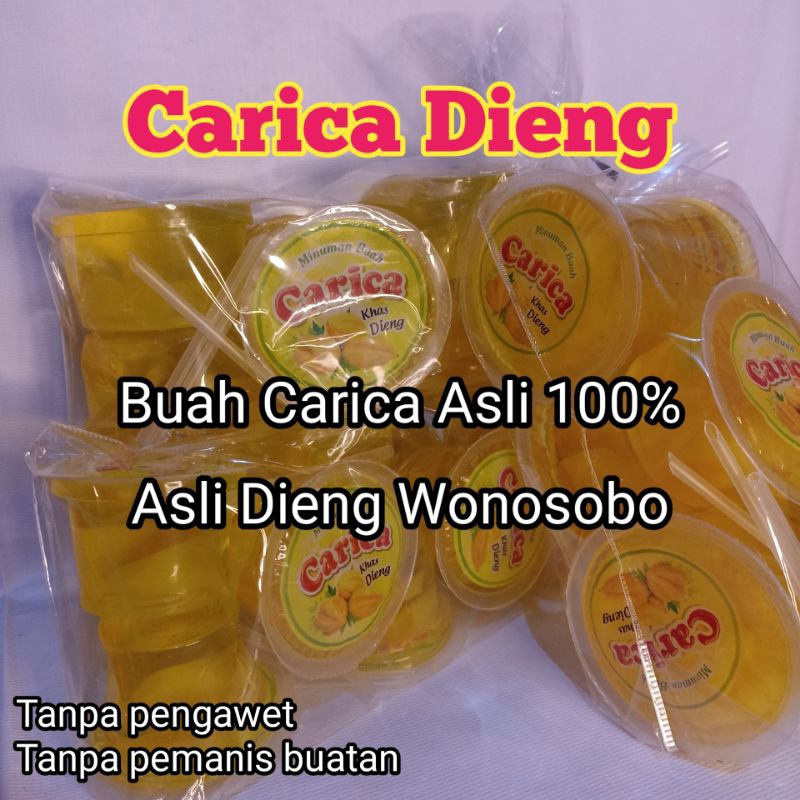 

CARICA DIENG 100% BUAH ASLI PEPAYA DIENG