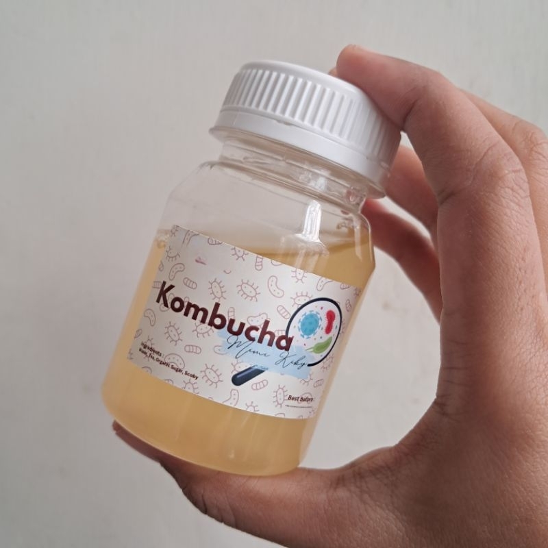 

[BEST SELLER !] KOMBUCHAMIMI ORIGINAL
