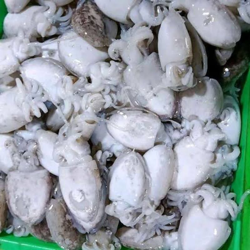 

balakutak berat bersih -+200 gr