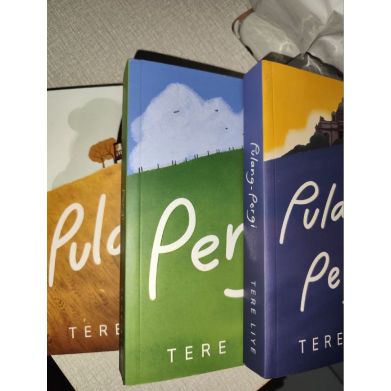 PRELOVED NOVEL PULANG BACA DESKRIPSI