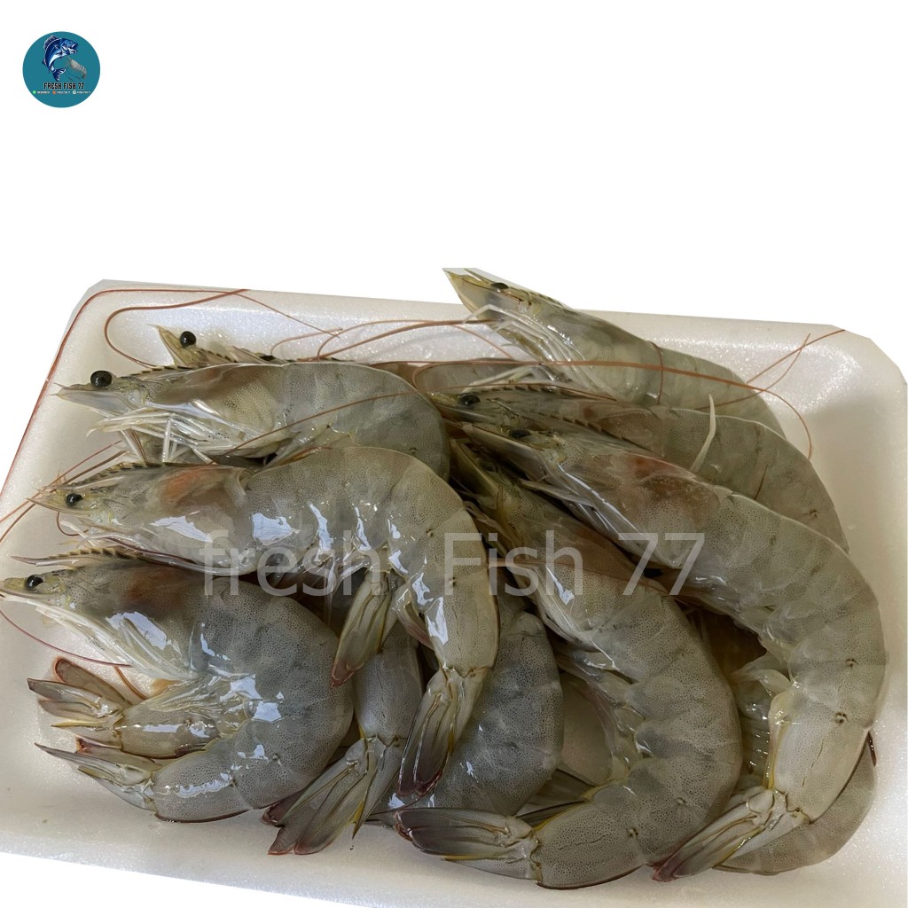 

Udang Vaname Besar ( 1kg isi 40/42)