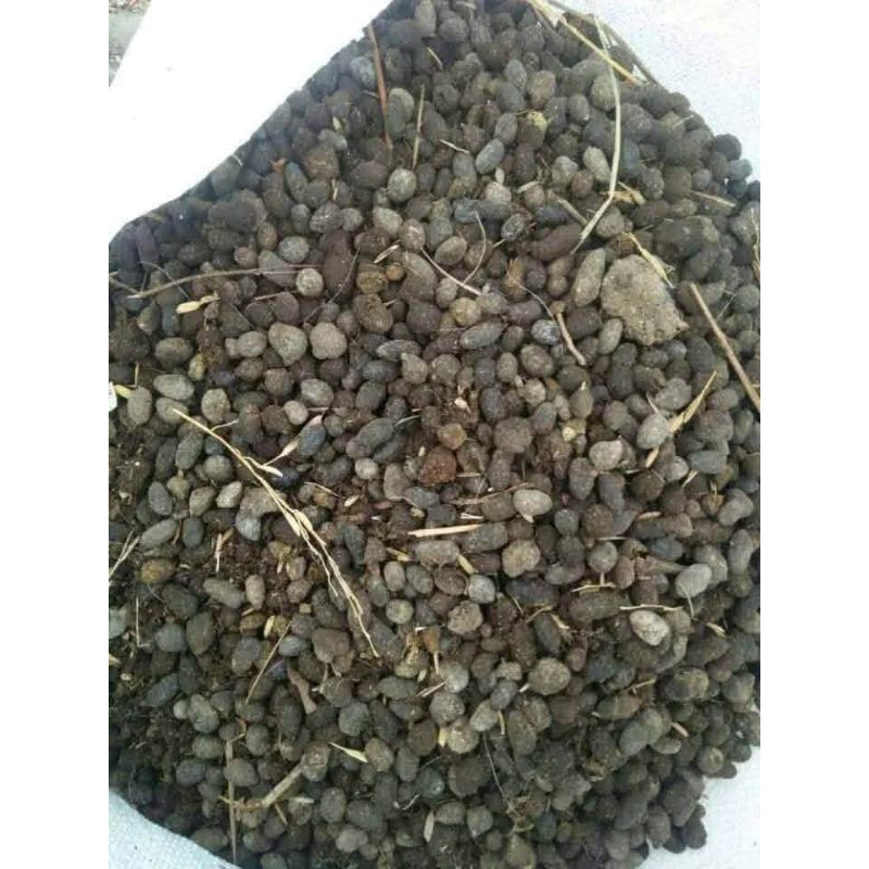 pupuk kohe kambing / pupuk kotoran kambing / pupuk berkualitas