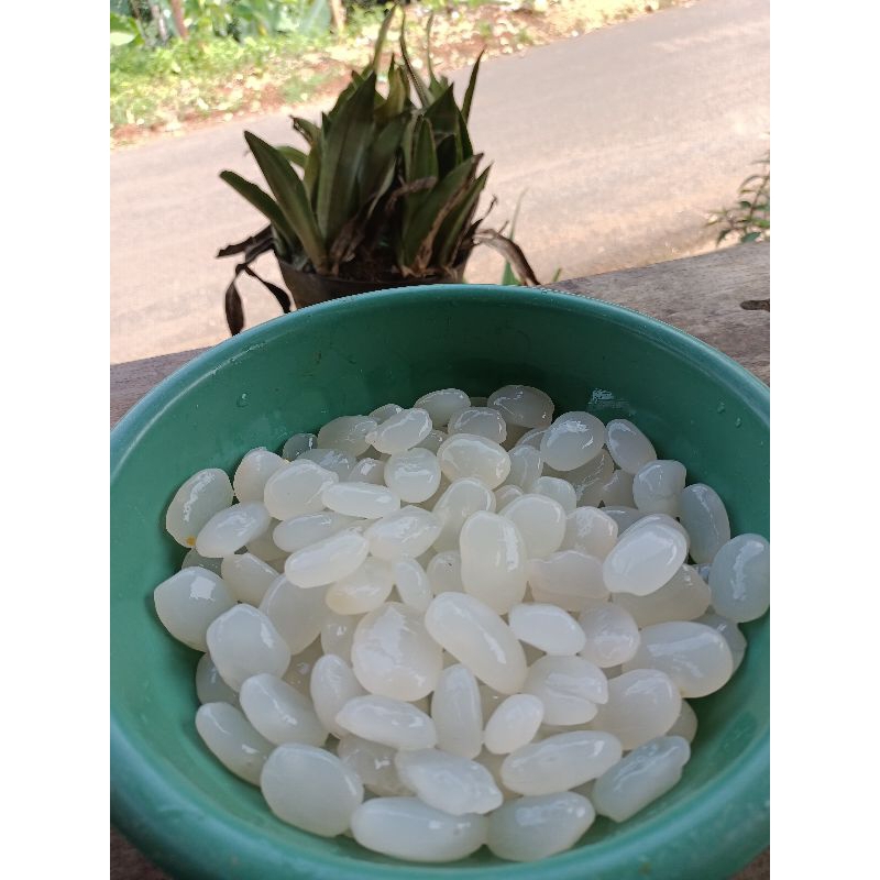 

Biji Kolang Kaling super 1kg