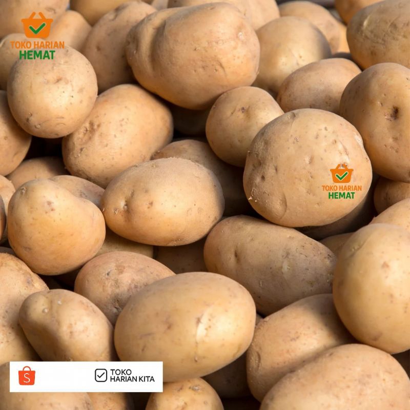 

Kentang Kuning Dieng Premium 1kg – Kentang Masak Harian Fresh & Berkualitas